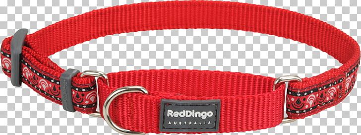 Dingo German Shepherd Dog Collar Martingale PNG, Clipart, Belt, Buckle, Choker, Clothing, Clothing Accessories Free PNG Download