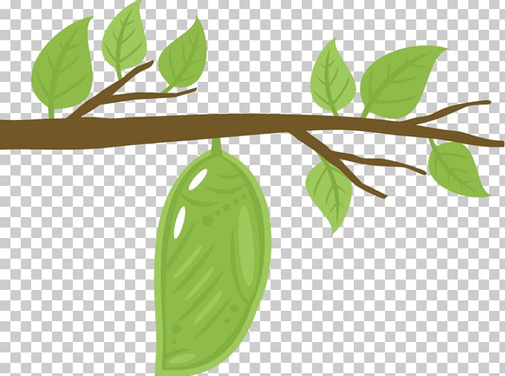 The Very Hungry Caterpillar Monarch Butterfly PNG, Clipart, Bozzolo, Branch, Butterfly, Caterpillar, Chrysalis Free PNG Download