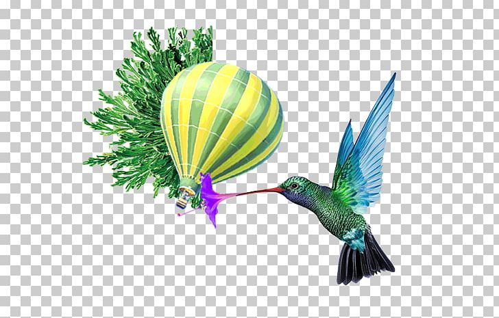 Trinidad And Tobago Montego Bay Flight Caribbean Airlines PNG, Clipart, American Airlines, Background Vector, Balloon, Balloon Border, Bird Free PNG Download