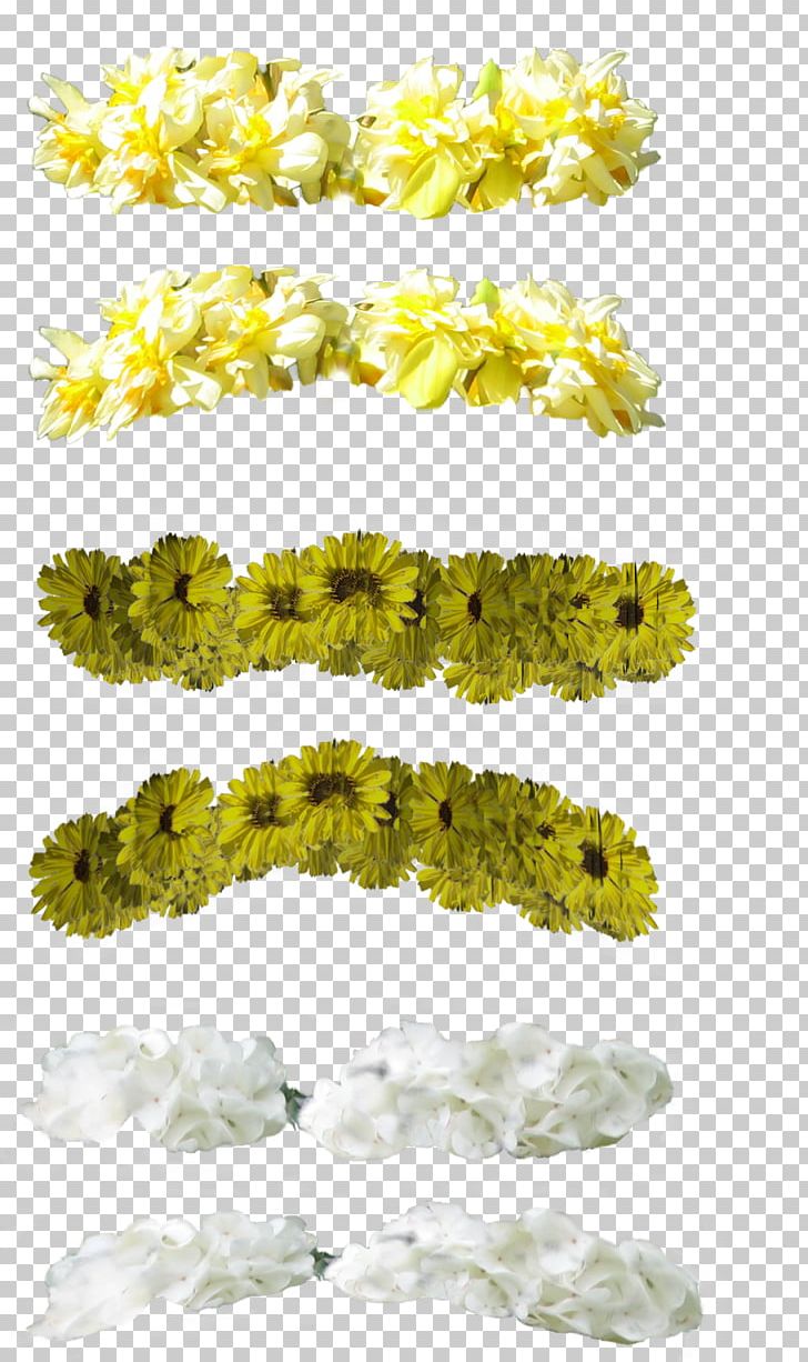 Crown Flower Wreath PNG, Clipart, Common Daisy, Common Sunflower, Crown, Desktop Wallpaper, Download Free PNG Download