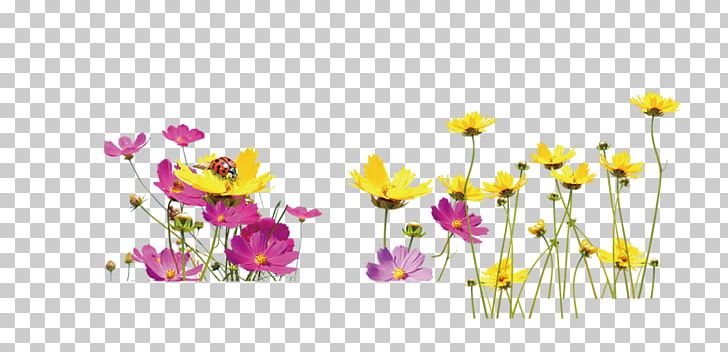 Floral Design Yellow Flower PNG, Clipart, Chart, Chrysanths, Computer Wallpaper, Cut Flowers, Download Free PNG Download