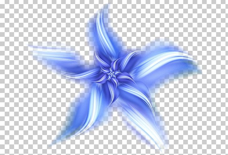 Long-sleeved T-shirt Blue Flower Petal PNG, Clipart, Anna, Blue, Blue Flower, Clothing, Computer Wallpaper Free PNG Download