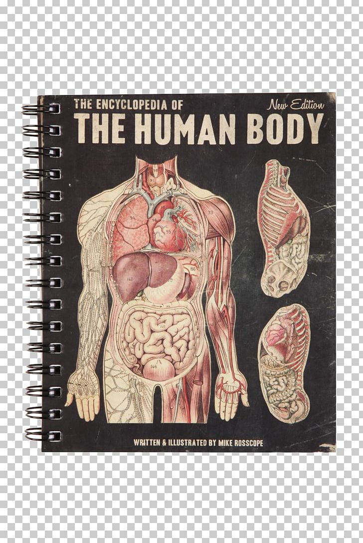 Notebook Stationery Human Anatomy Human Body PNG, Clipart, Anatomy, Drawing, Flesh, Homo Sapiens, Human Free PNG Download