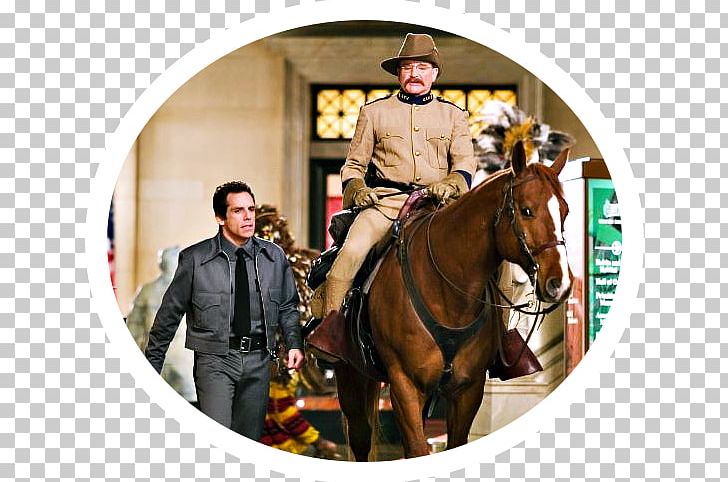 Theodore Roosevelt Easter Island Head Larry Daley Night At The Museum PNG, Clipart, Actor, Bridle, Carla Gugino, Film, Horse Free PNG Download