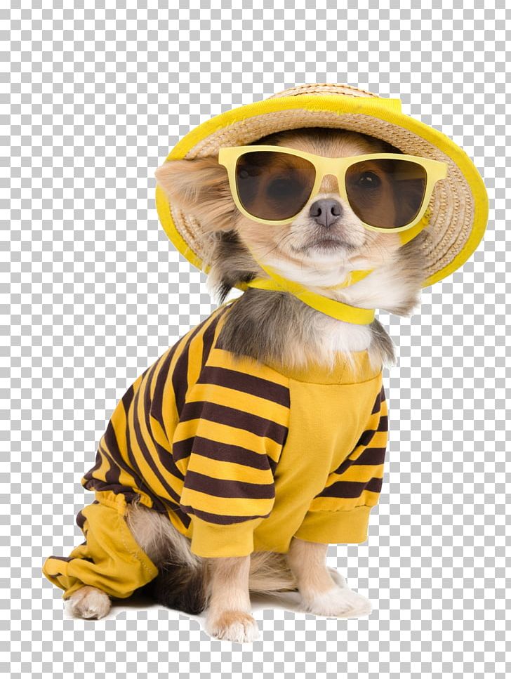 Chihuahua T Shirt Puppy Clothing Pet Png Clipart Animal Animals - dog puppy boo wearing glasses sunglasses cute roblox