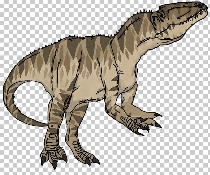 Tyrannosaurus Velociraptor Wildlife Fauna Claw PNG, Clipart, Animal, Animal Figure, Carnivora, Carnivoran, Claw Free PNG Download