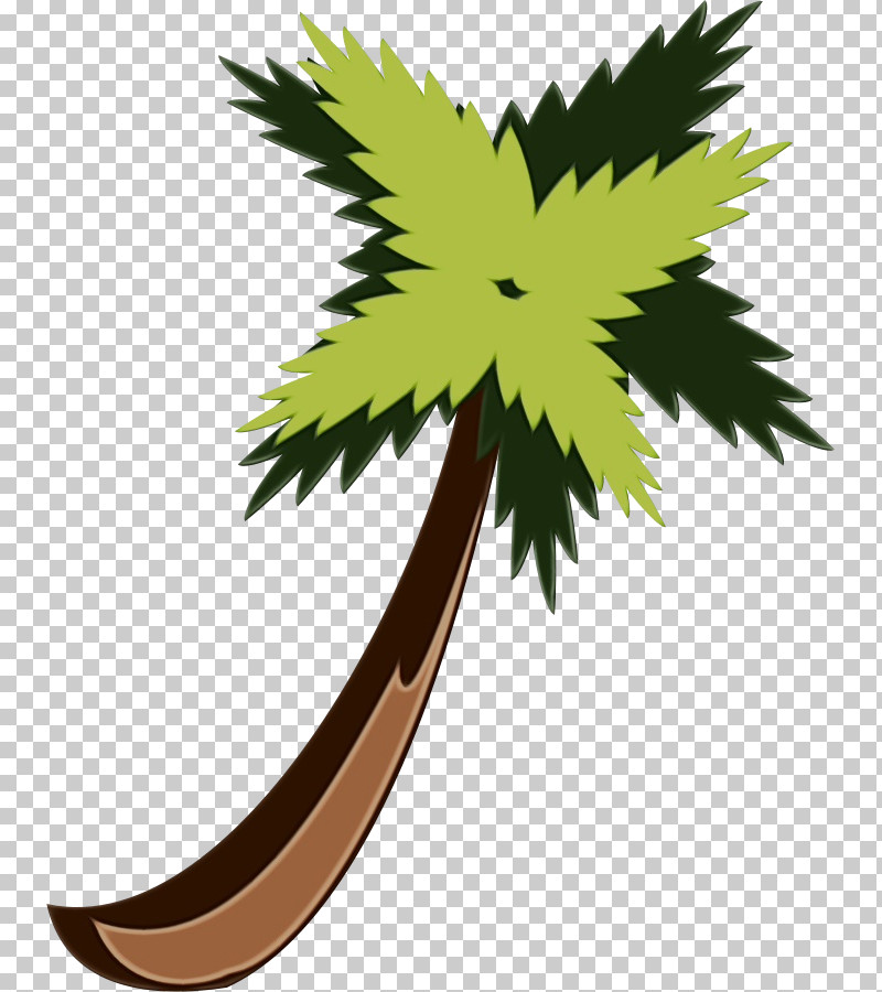 Palm Tree PNG, Clipart, Arecales, Hemp Family, Leaf, Paint, Palm Tree Free PNG Download