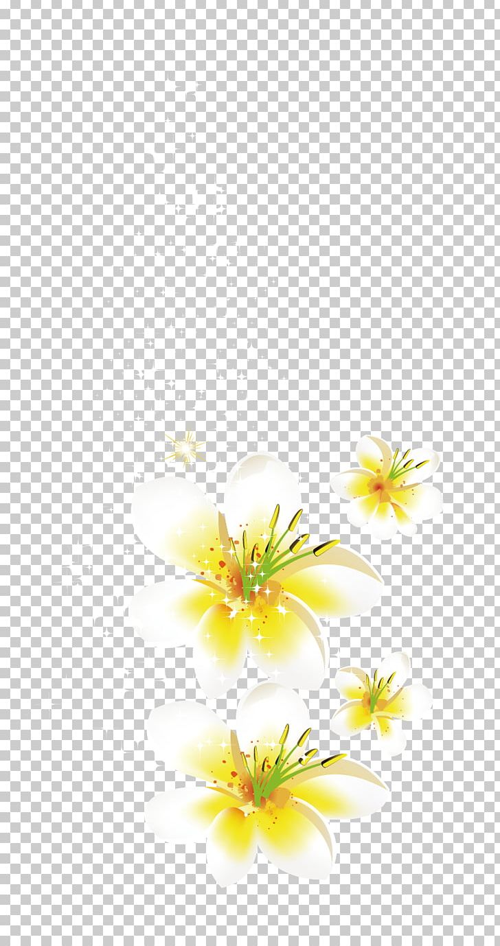 Petal Flower PNG, Clipart, Common Sunflower, Computer Graphics, Download, Encapsulated Postscript, Flower Free PNG Download