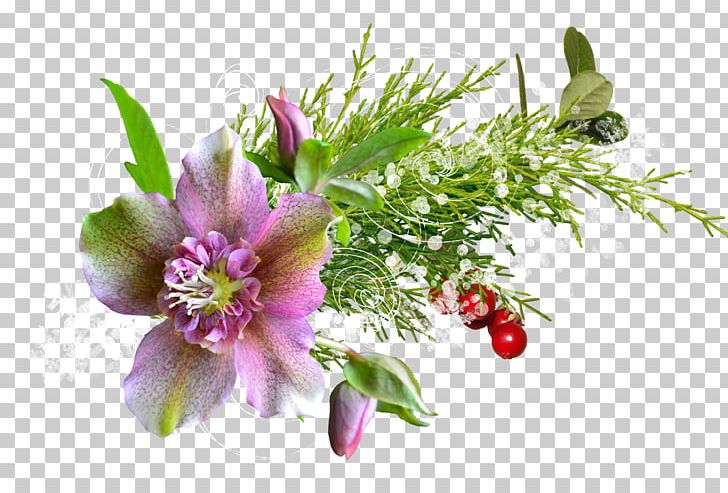 PhotoScape Flower PNG, Clipart, Cicek, Cut Flowers, Desktop Wallpaper, Floral Design, Flower Free PNG Download