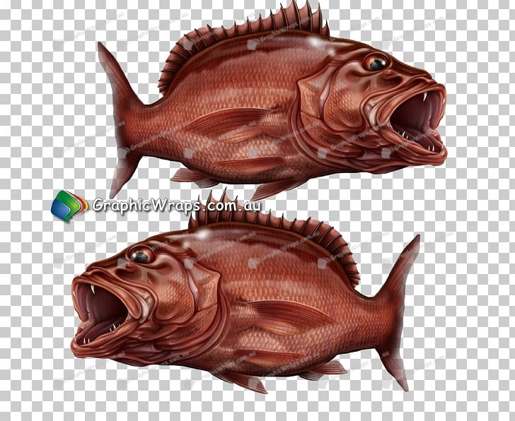 Fish Carp Mangrove Sticker Sump PNG, Clipart, 1992 Ford Ranger Custom, Advertising, Anglerfish, Animals, Animal Source Foods Free PNG Download