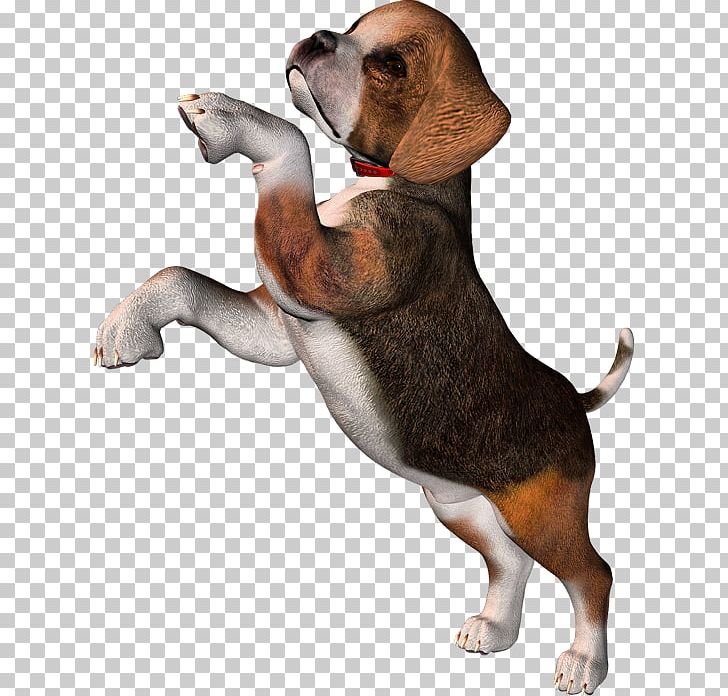 Pocket Beagle Puppy PNG, Clipart, American Kennel Club, Animals, Carnivoran, Cartoon Dog, Companion Dog Free PNG Download