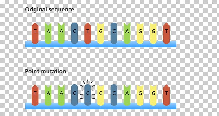 Point Mutation DNA Frameshift Mutation Genetics PNG, Clipart, Biology, Brand, Cell, Chromosomal Inversion, Chromosomal Translocation Free PNG Download