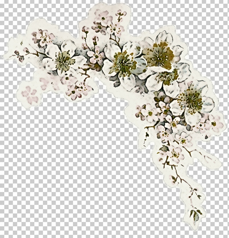 Flower Plant Hair Accessory Headpiece Cut Flowers PNG, Clipart, Blossom, Cut Flowers, Flower, Hair Accessory, Headpiece Free PNG Download