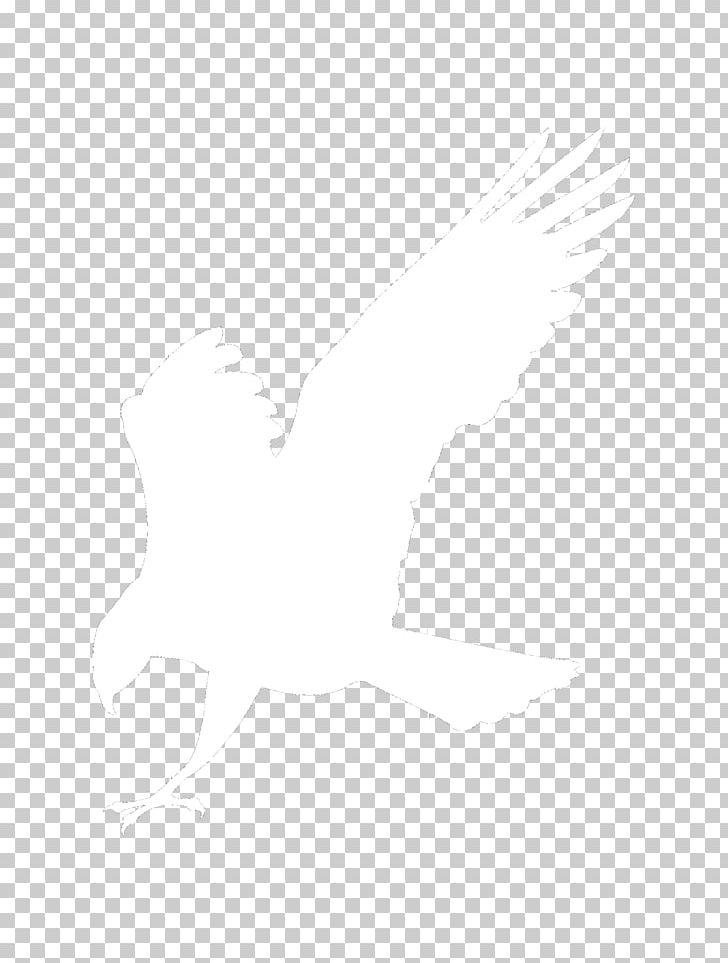 Eagle Logo White Silhouette PNG, Clipart, Animals, Art, Beak, Bird, Bird Of Prey Free PNG Download