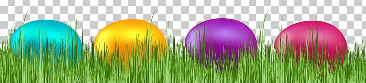 Easter Bunny Easter Egg PNG, Clipart, Computer Wallpaper, Easter, Easter Bunny, Easter Egg, Easter Grass Cliparts Free PNG Download