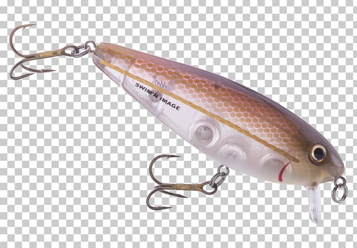Spoon Lure Heddon Fishing Baits & Lures Anchoa Mitchilli PNG, Clipart, American Shad, Anchoa Mitchilli, Anchovy, Bait, Bait Fish Free PNG Download