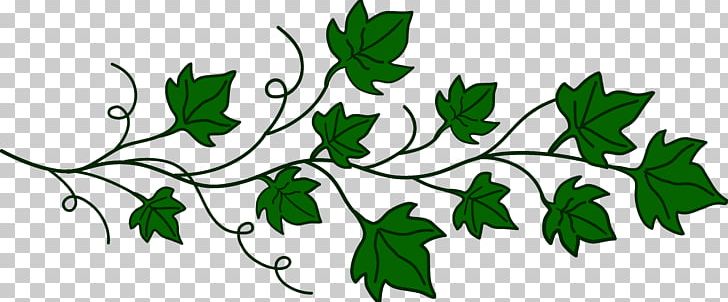 Vine Ivy Free Content PNG, Clipart, Branch, Cartoon, Clip Art, Computer, Download Free PNG Download