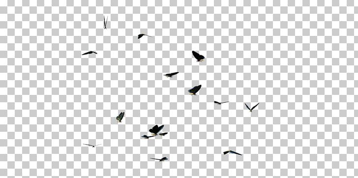 Black And White Line Angle Point PNG, Clipart, Angle, Animals, Black, Black And White, Butterfly Free PNG Download