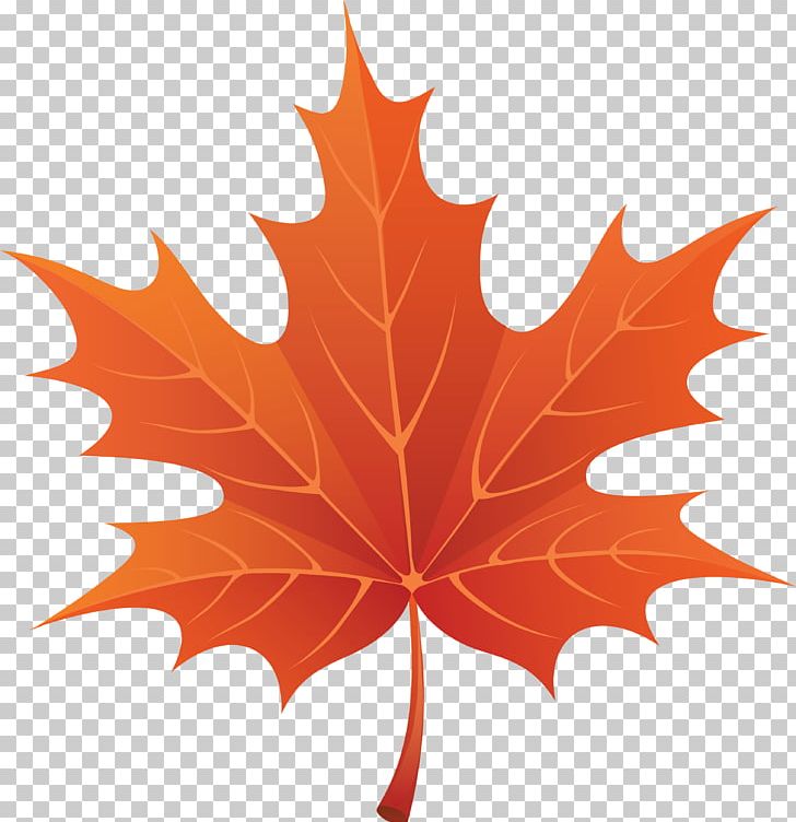 Fall Leaves Fall Autumn Leaf Color Png Clipart Autumn