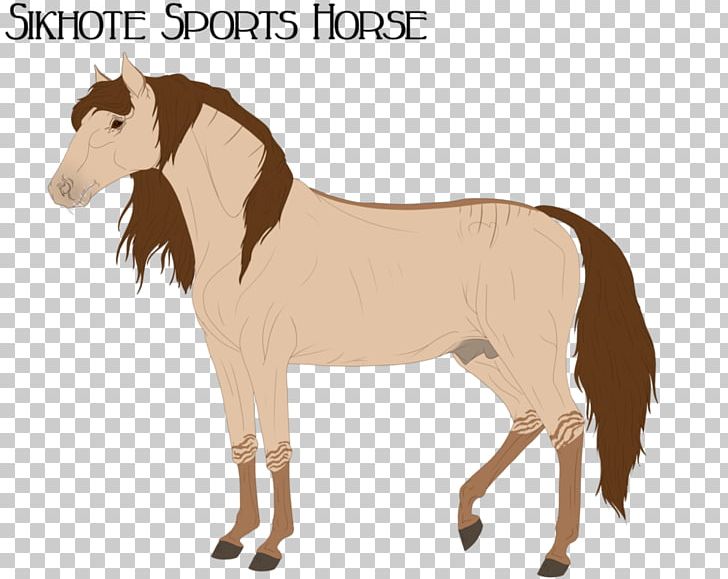 Mane Mustang Foal Stallion Colt PNG, Clipart, Bridle, Colt, Donkey, Foal, Halter Free PNG Download