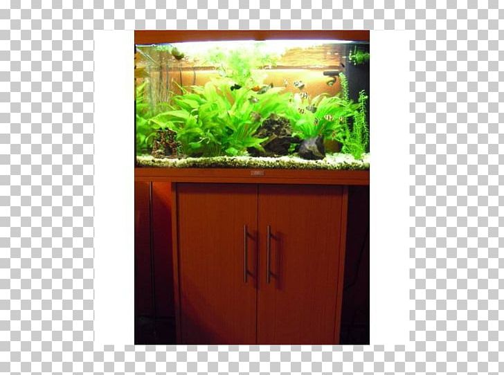 Aquariums Herb Flowerpot Plant PNG, Clipart, Aquarium, Aquariums, Flora, Flowerpot, Food Drinks Free PNG Download