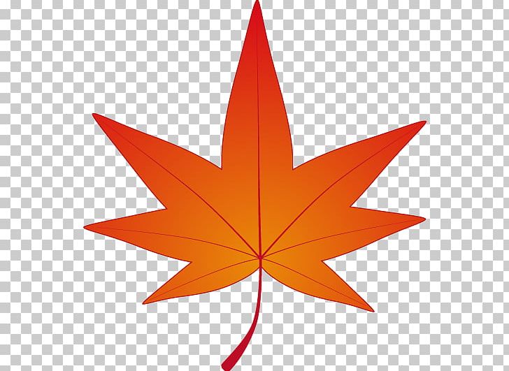 Autumn Leaf Color Maple PNG, Clipart, Autumn, Autumn Leaf Color, Encapsulated Postscript, Flowering Plant, Ginkgo Biloba Free PNG Download