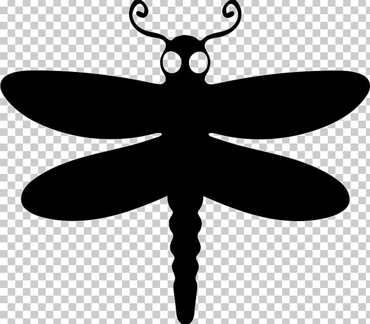 Dragonfly Illustration Bird Animal Photograph PNG, Clipart, Animal, Arthropod, Bird, Black And White, Computer Icons Free PNG Download