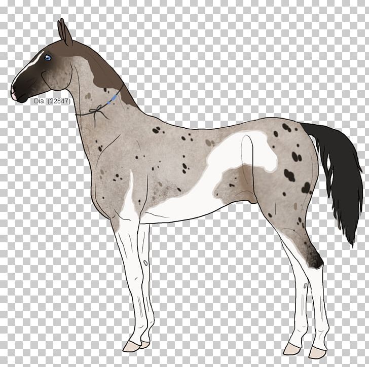 Mule Foal Stallion Mare Colt PNG, Clipart, Animal Figure, Bridle, Colt, Father, Foal Free PNG Download