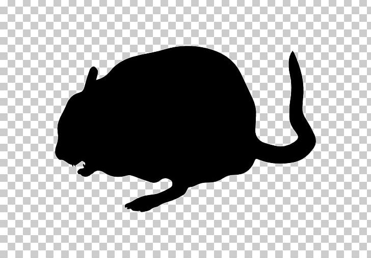 Whiskers Chinchilla Cat Computer Icons PNG, Clipart, Animal, Animals, Black, Carnivoran, Cat Free PNG Download