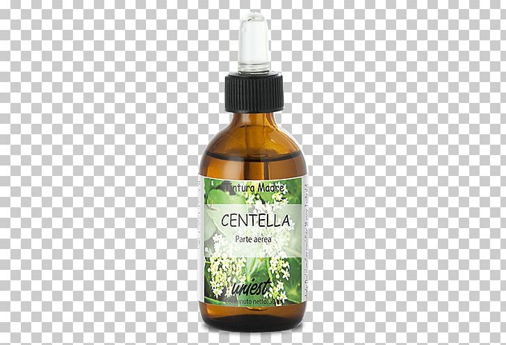 Fennel Flower Sativum Dietary Supplement Plant PNG, Clipart, Centella Asiatica, Dietary Supplement, Fennel Flower, Liquid, Milliliter Free PNG Download