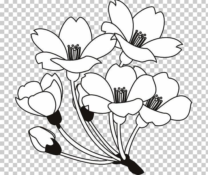 Floral Design Black And White Drawing PNG, Clipart, Artwork, Black, Branch, Coloring Book, Cut Flowers Free PNG Download