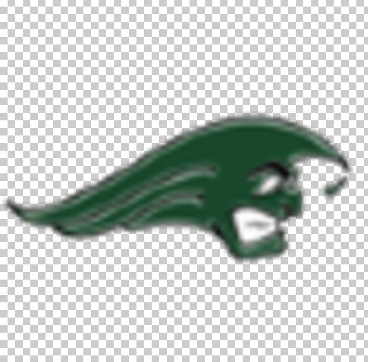 Greenville High School Stebbins High School Tulane Green Wave Football High School Football PNG, Clipart, American Football, Claw, Get High, Green, Greenville Free PNG Download