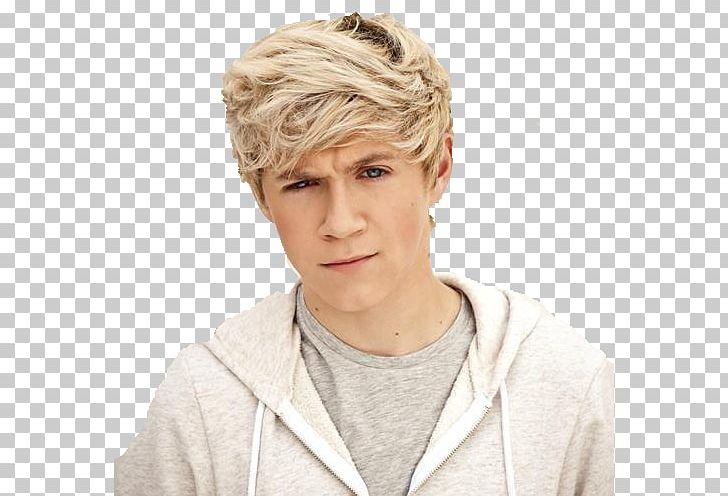 Niall Horan One Direction The X Factor Mullingar Up All Night PNG, Clipart, Brown Hair, Forehead, Guitarist, Hair, Hair Coloring Free PNG Download