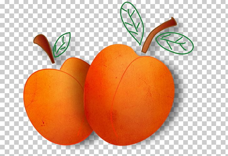 Vegetable Fruits Et Légumes Apelsin PNG, Clipart, Animaatio, Apelsin, Blog, Emoticon, Food Free PNG Download