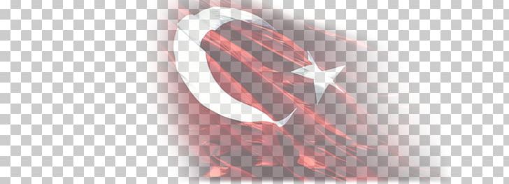 Body Jewellery Shoe Constitution Of Turkey PNG, Clipart, Bayrak, Body Jewellery, Body Jewelry, Constitution, Constitution Of Turkey Free PNG Download