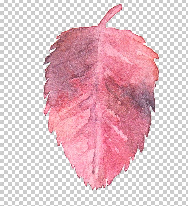 Leaf Watercolor Painting Portable Network Graphics Watercolor: Flowers PNG, Clipart, Color, Drawing, Green, Leaf, Painting Free PNG Download