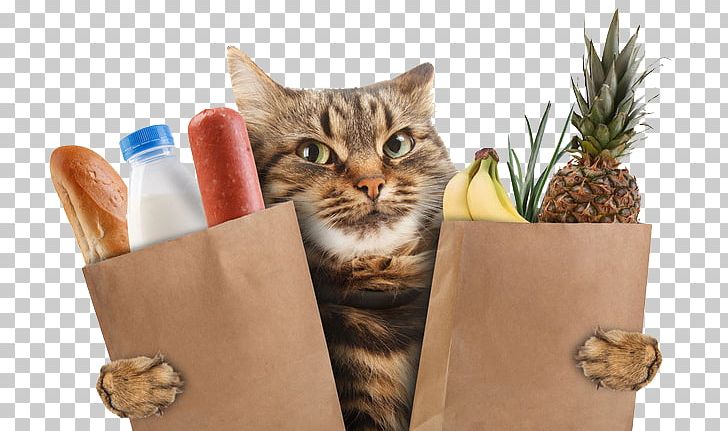 Scottish Straight Kitten Wildcat Stock Photography Supermarket PNG, Clipart, Black Cat, Box, Bread, Carnivoran, Cartoon Cat Free PNG Download