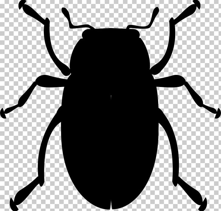 Computer Icons Volkswagen Beetle Ladybird Beetle PNG, Clipart, Animals, Arthropod, Artwork, Beetle, Bitmap Free PNG Download