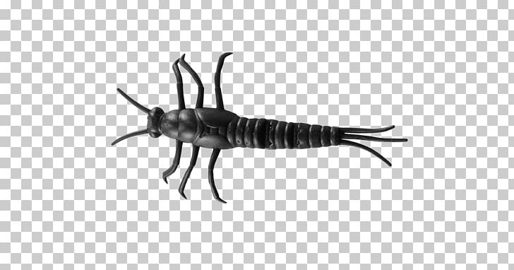 Insect Mayfly Nymph Wing Fishing Baits & Lures PNG, Clipart, 3 D, Angling, Animal, Animals, Black And White Free PNG Download
