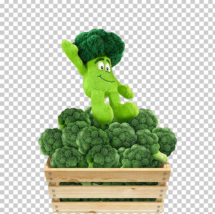 Leaf Vegetable Cauliflower Potato Pancake Recipe Broccoli PNG, Clipart, Broccoli, Cauliflower, Food, Frying, Gang Free PNG Download