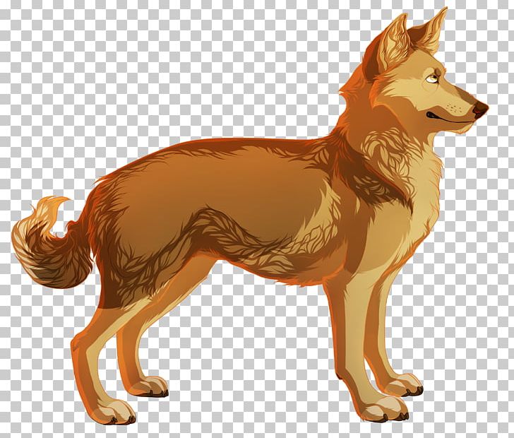 Dhole Dingo Pit Bull Canidae Red Fox PNG, Clipart, Animal, Canidae, Carnivora, Carnivoran, Dhole Free PNG Download