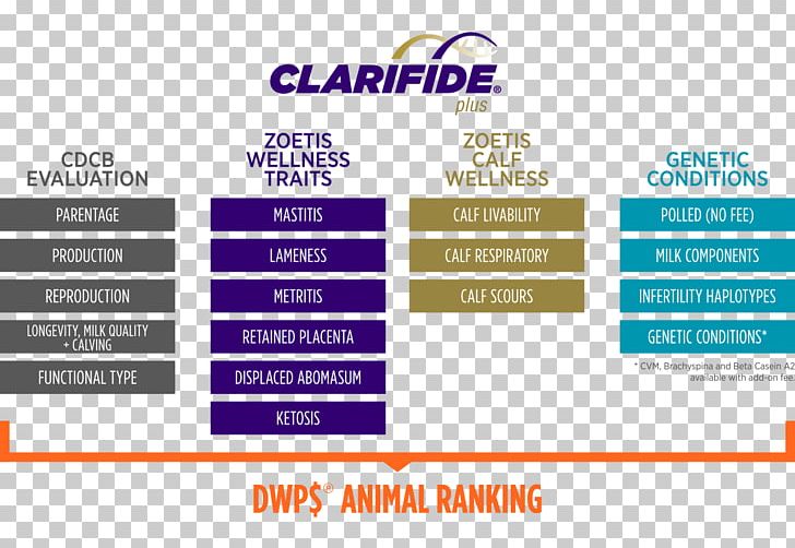 Information Animal Business Research PNG, Clipart, Advertising, Animal, Brand, Business, Diagram Free PNG Download