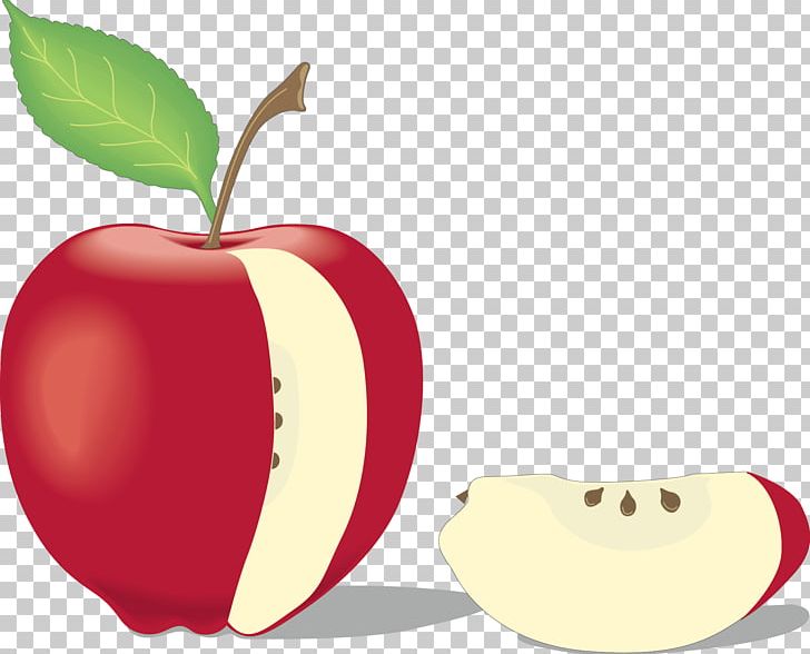 Learn About Fruits Apple Juice Berry PNG, Clipart, Apple Fruit, Apple Logo, Apple Vector, Apricot, Chhota Bheem The Rise Of Kirmada Free PNG Download