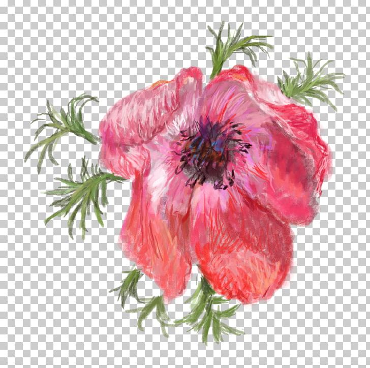 Opium Poppy Flower Red PNG, Clipart, Annual Plant, Cartoon Pomegranate, Common Poppy, Cut Flowers, Floral Design Free PNG Download