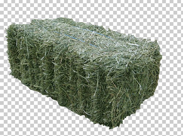 Alfalfa Hay Baler Fodder Silage PNG, Clipart, Agriculture, Alfalfa, Baler, Business, Chaff Free PNG Download