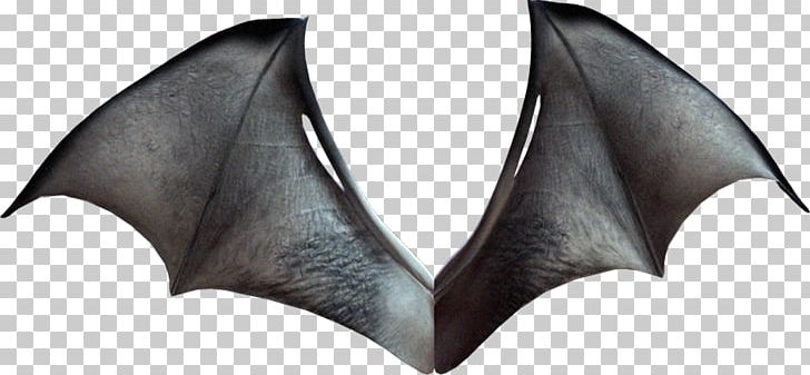 Bat Wing Development Aile PNG, Clipart, Aile, Angel, Animals, Bat, Bat Wing Development Free PNG Download