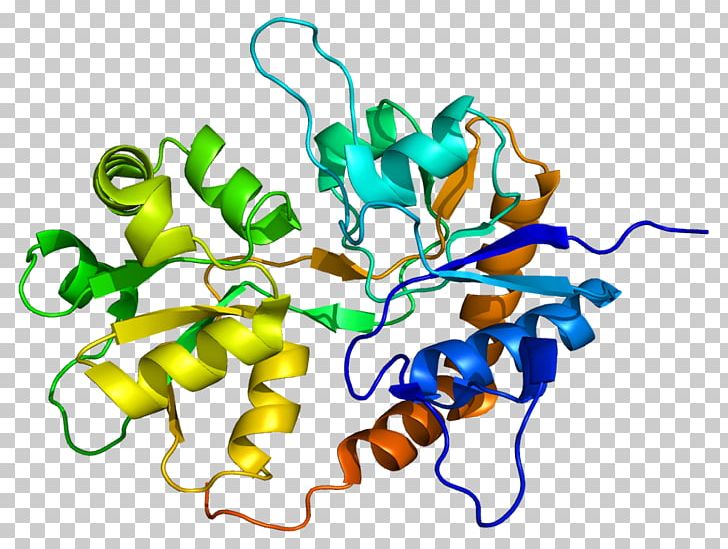 GRIK2 Ionotropic Glutamate Receptor Kainate Receptor GRIK5 PNG, Clipart, Artwork, Gene, Glutamate Receptor, Ionotropic Glutamate Receptor, Kainate Receptor Free PNG Download