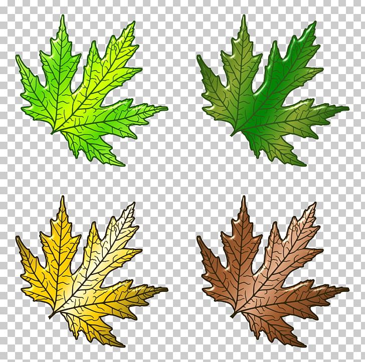 Portable Network Graphics Leaf Design Adobe Photoshop PNG, Clipart, Cartoon, Color, Computer Software, Download, Image Resolution Free PNG Download