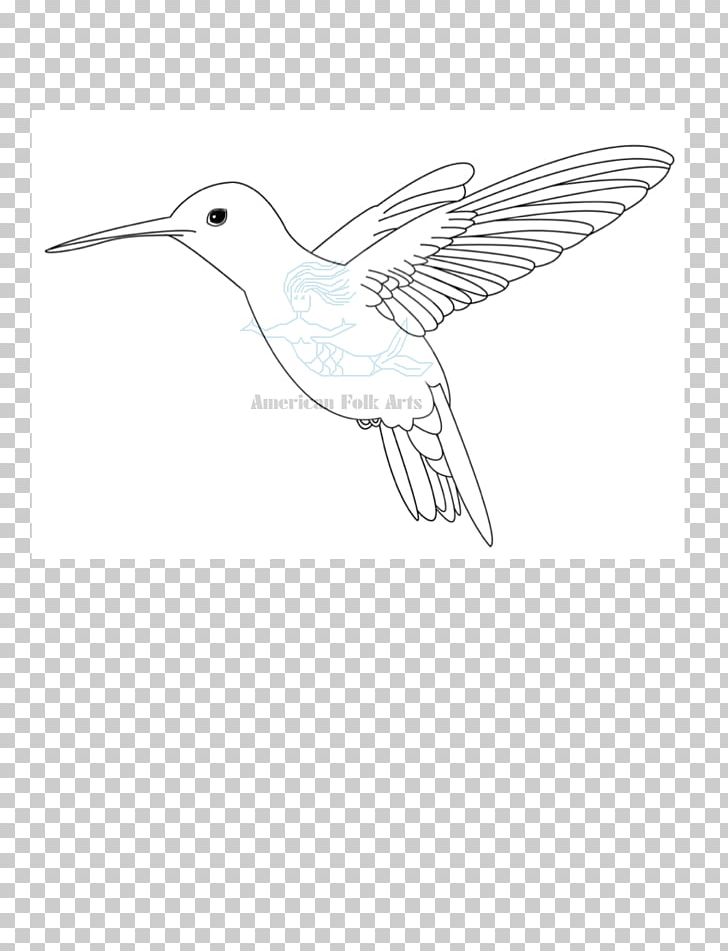 Line Art Drawing Fauna Beak Feather PNG, Clipart, Animals, Artwork, Beak, Bird, Black And White Free PNG Download