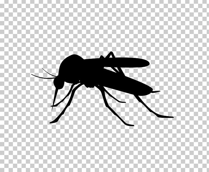 Mosquito PNG, Clipart, Arthropod, Black And White, Clip Art, Encapsulated Postscript, Fly Free PNG Download
